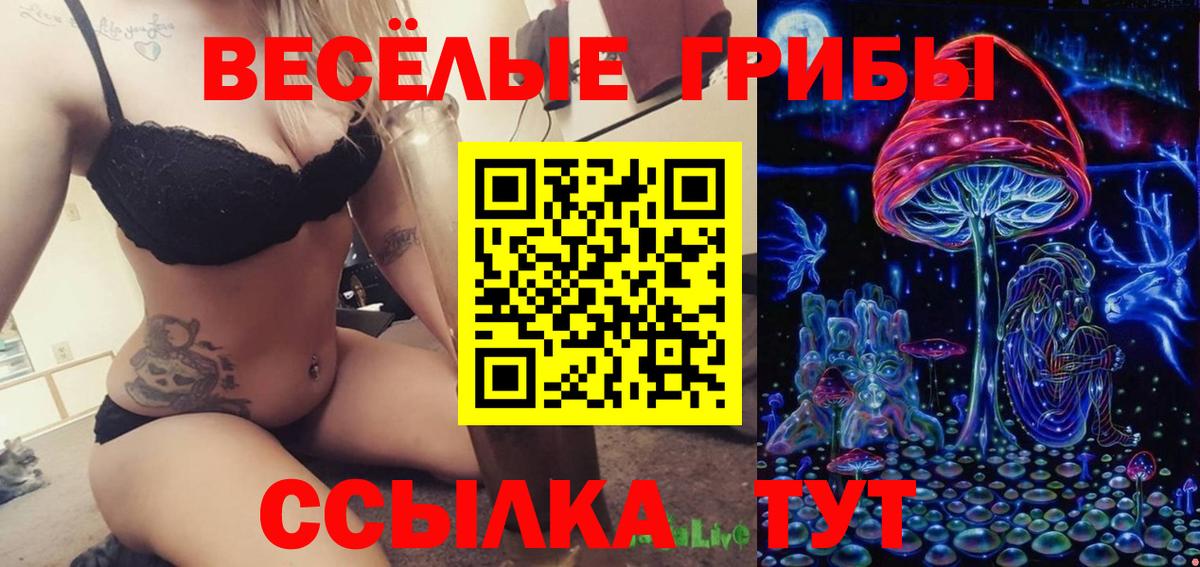 Псилоцибиновые грибы ЛСД  Вход с VPN  Кизляр 